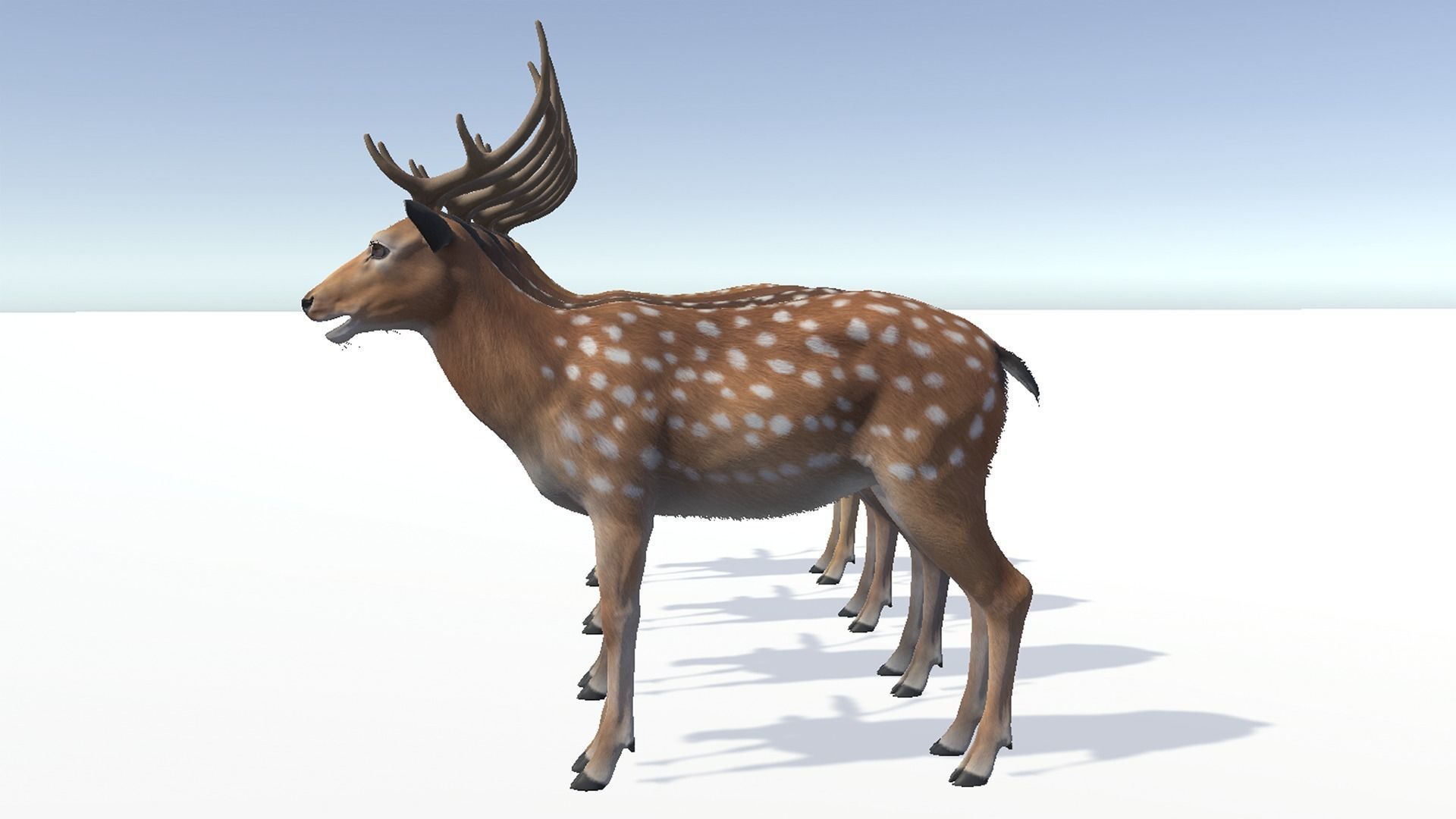 Deer - Stag Low-poly 3D model_12