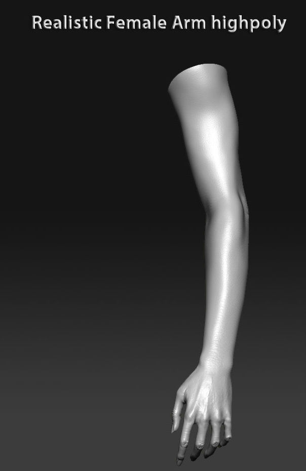 Realistic female arm highpoly 3D model_12