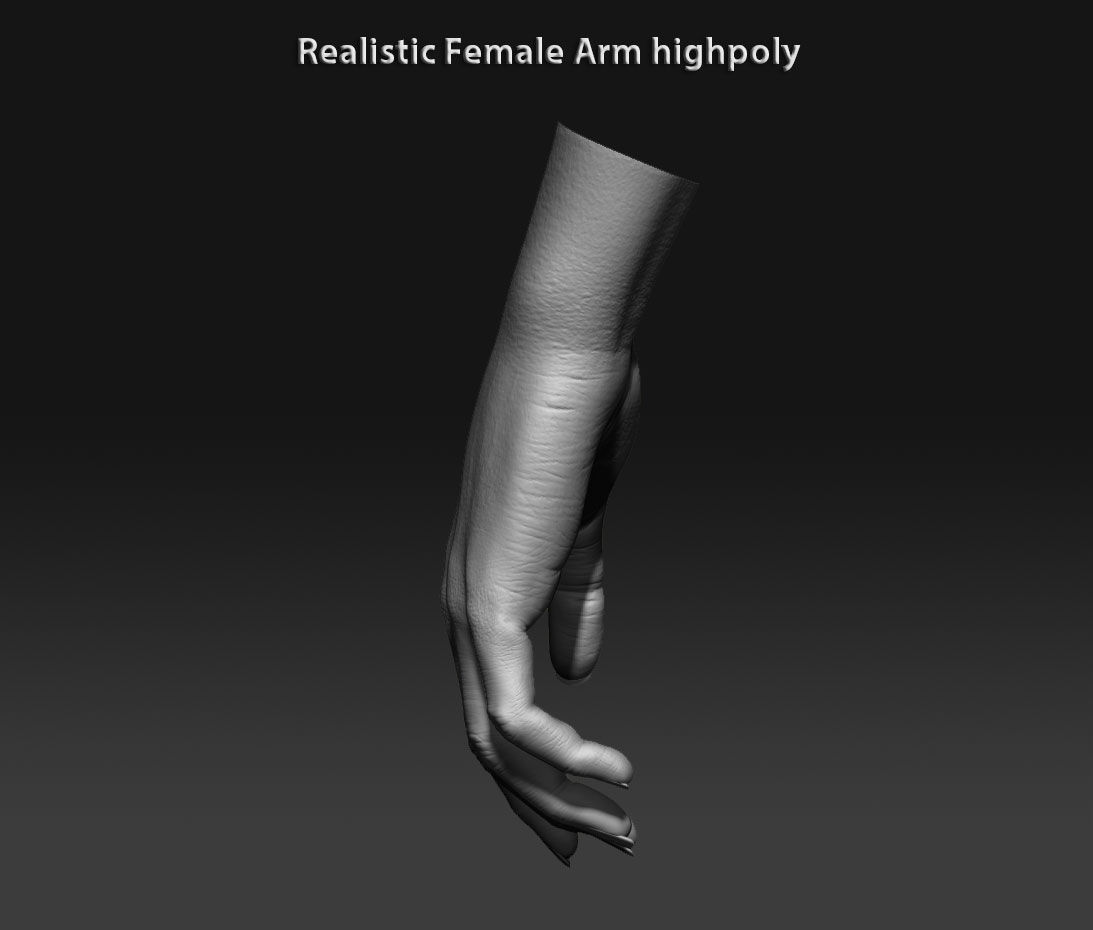 Realistic female arm highpoly 3D model_10