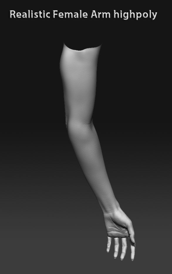 Realistic female arm highpoly 3D model_3