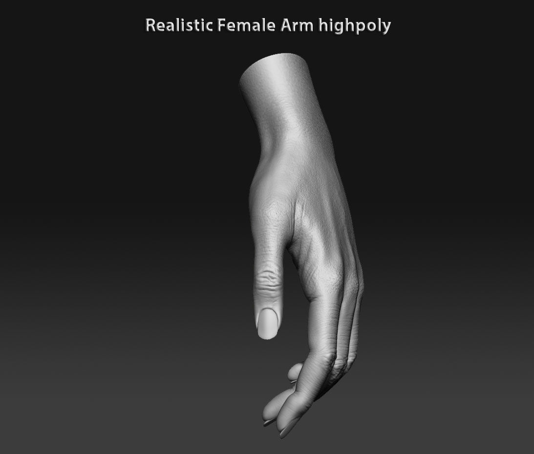 Realistic female arm highpoly 3D model_8