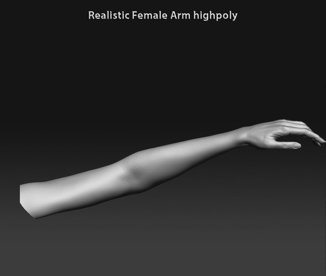 Realistic female arm highpoly 3D model_5