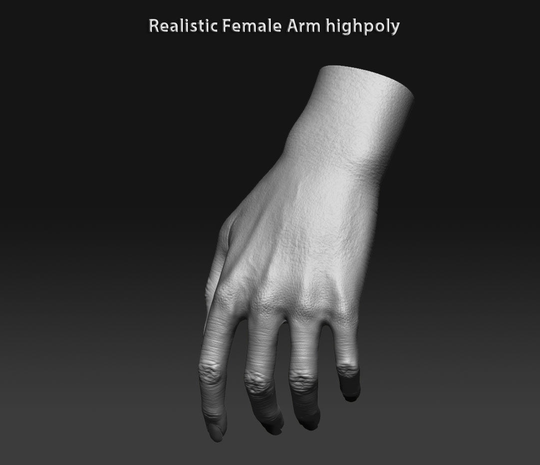 Realistic female arm highpoly 3D model_7