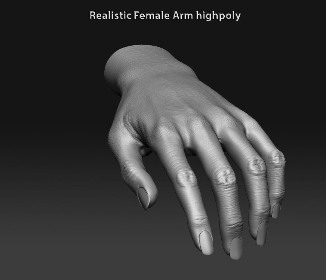 Realistic female arm highpoly 3D model_11