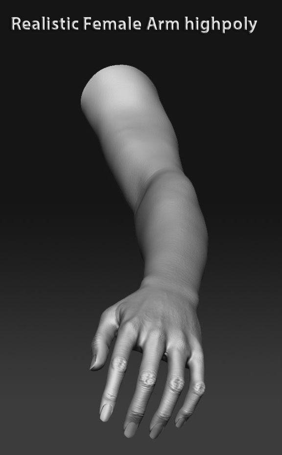 Realistic female arm highpoly 3D model_4