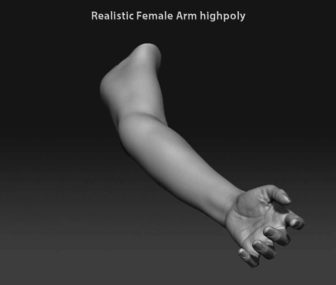 Realistic female arm highpoly 3D model_6