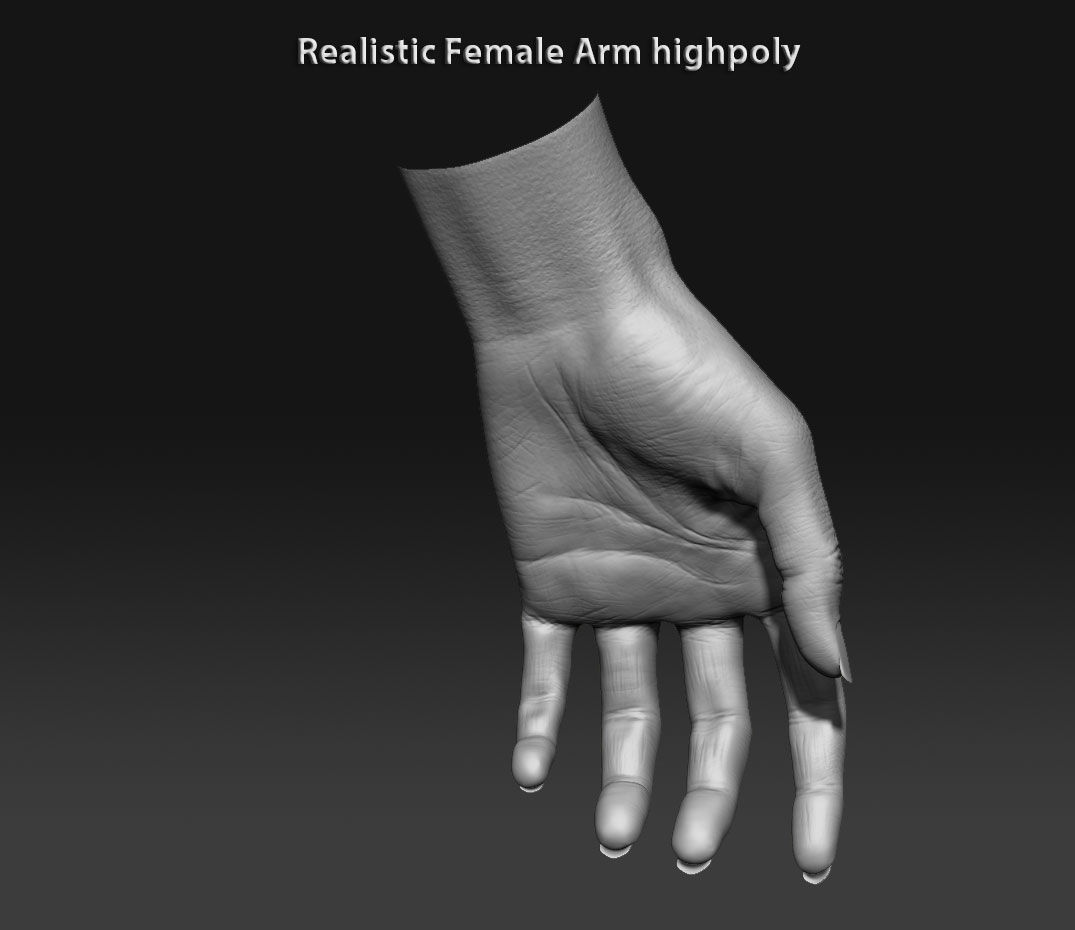 Realistic female arm highpoly 3D model_9