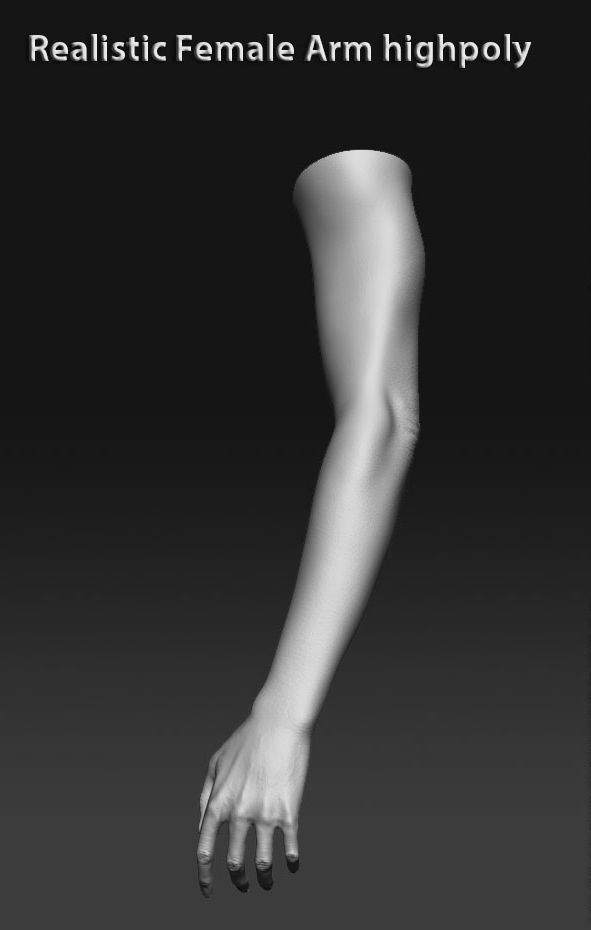 Realistic female arm highpoly 3D model_1