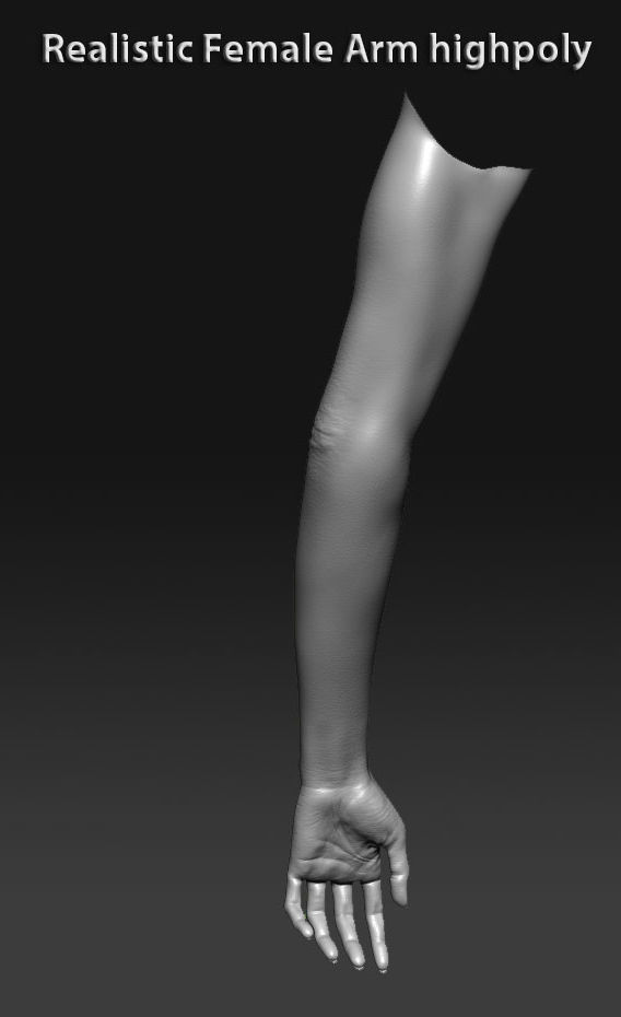 Realistic female arm highpoly 3D model_13