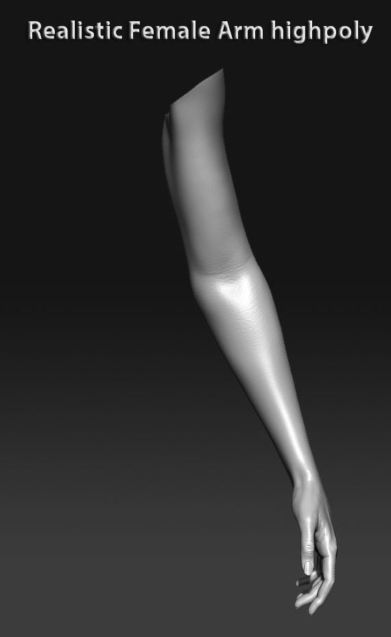 Realistic female arm highpoly 3D model_14