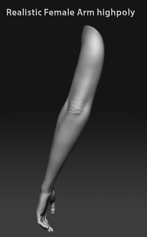 Realistic female arm highpoly 3D model_2