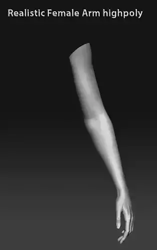 Realistic female arm highpoly 3D model