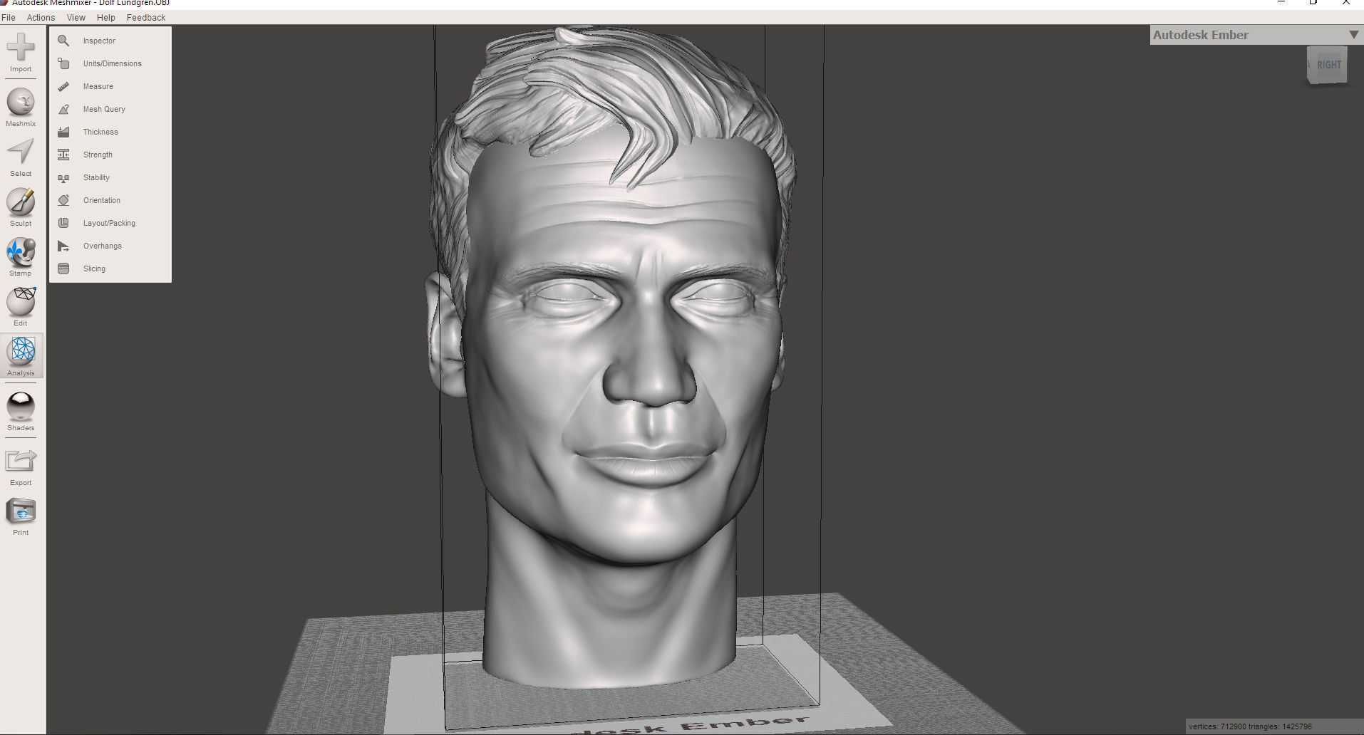 Dolf Lundgren 3D printable portrait sculpture 3D print model_6