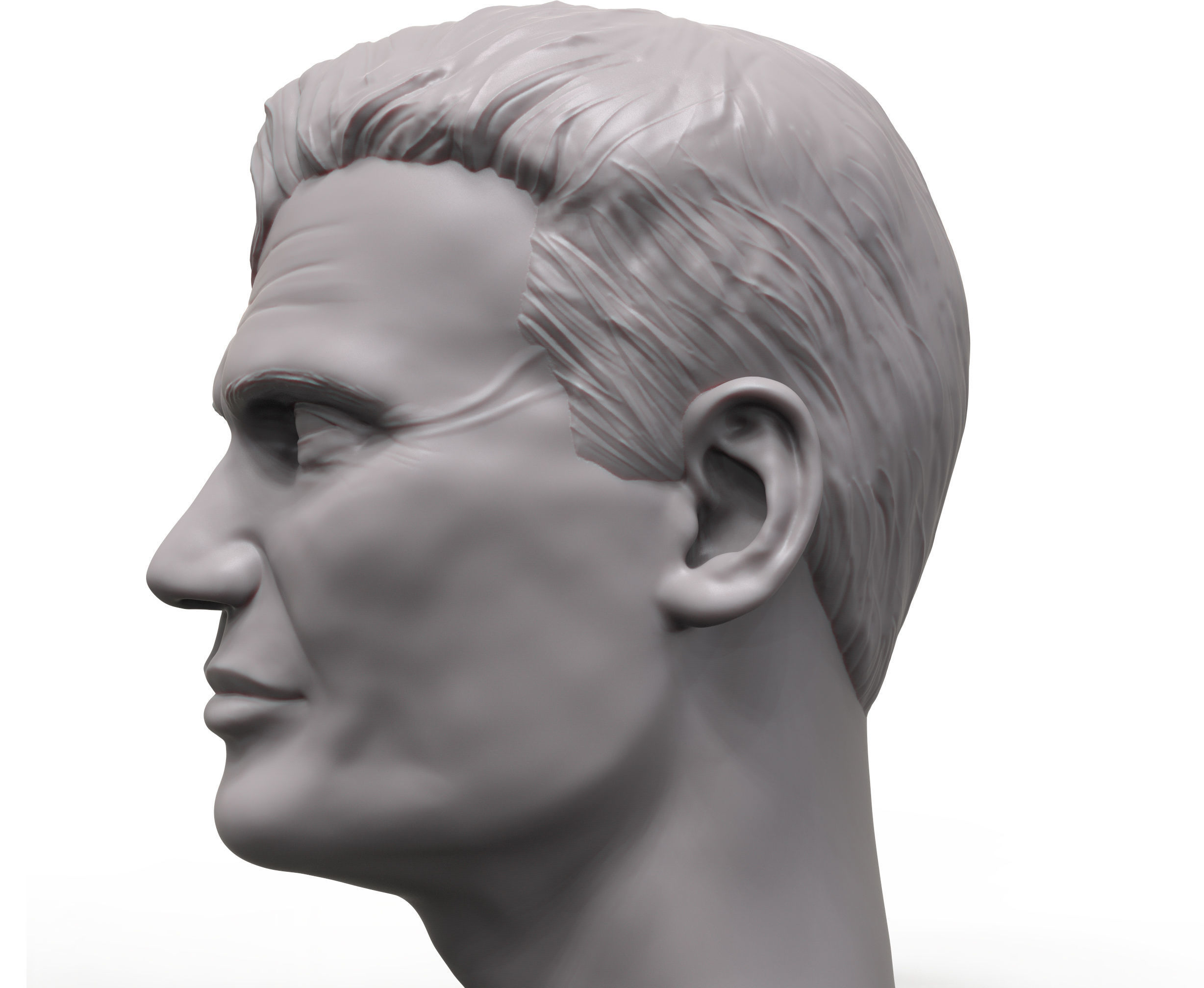Dolf Lundgren 3D printable portrait sculpture 3D print model_5