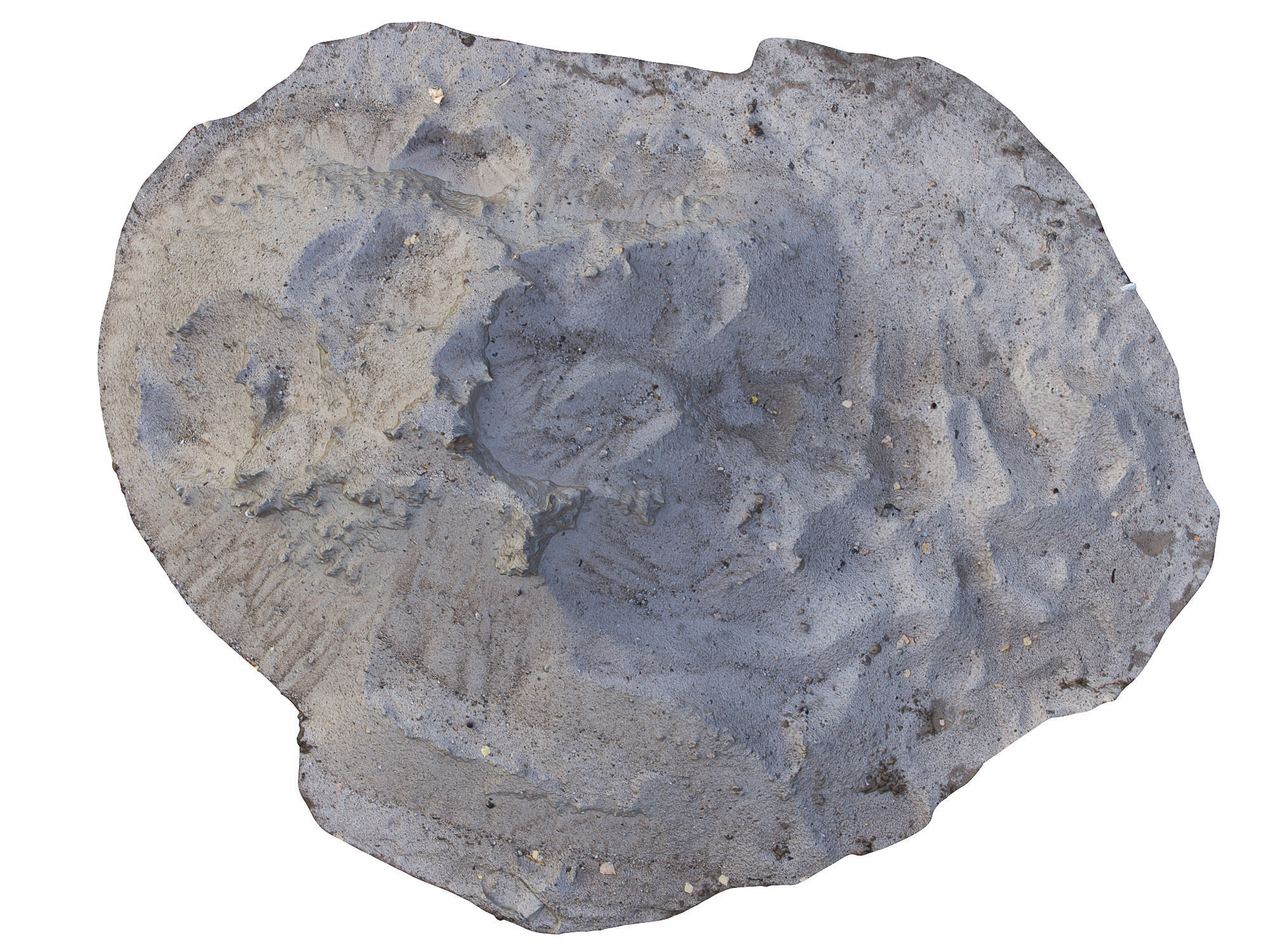 Ultra realistic Sand Scan  Low-poly 3D model_1