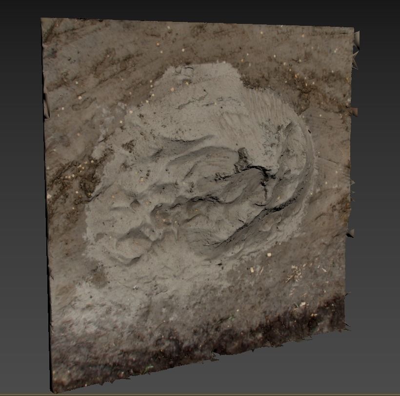 Ultra realistic Sand Scan  Low-poly 3D model_7