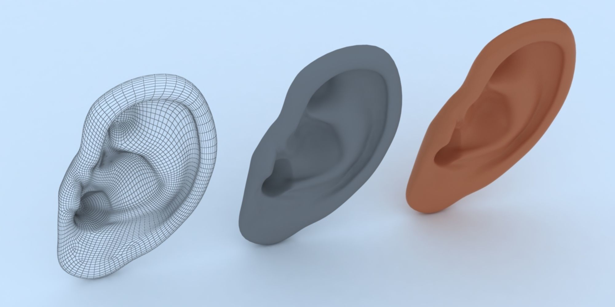 Ear 3D Model Updated Low-poly 3D model_11
