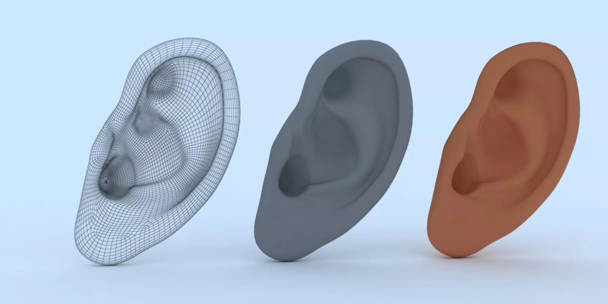 Ear 3D Model Updated Low-poly 3D model_0