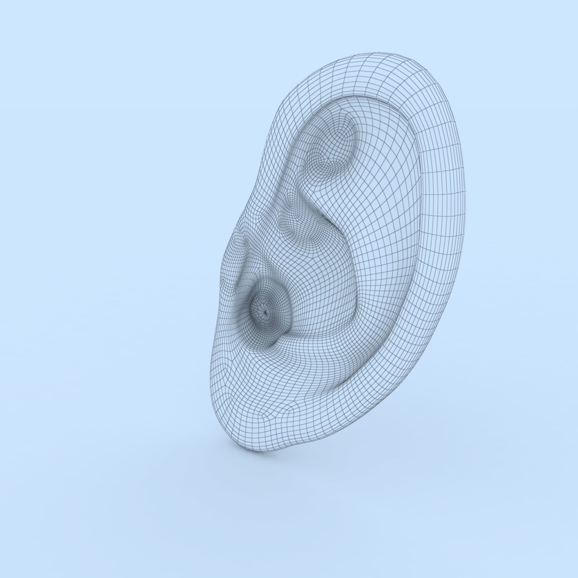 Ear 3D Model Updated Low-poly 3D model_9