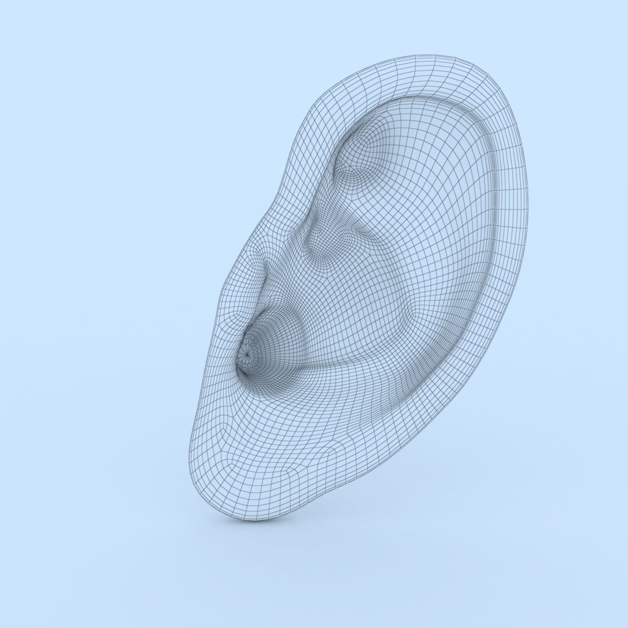 Ear 3D Model Updated Low-poly 3D model_10