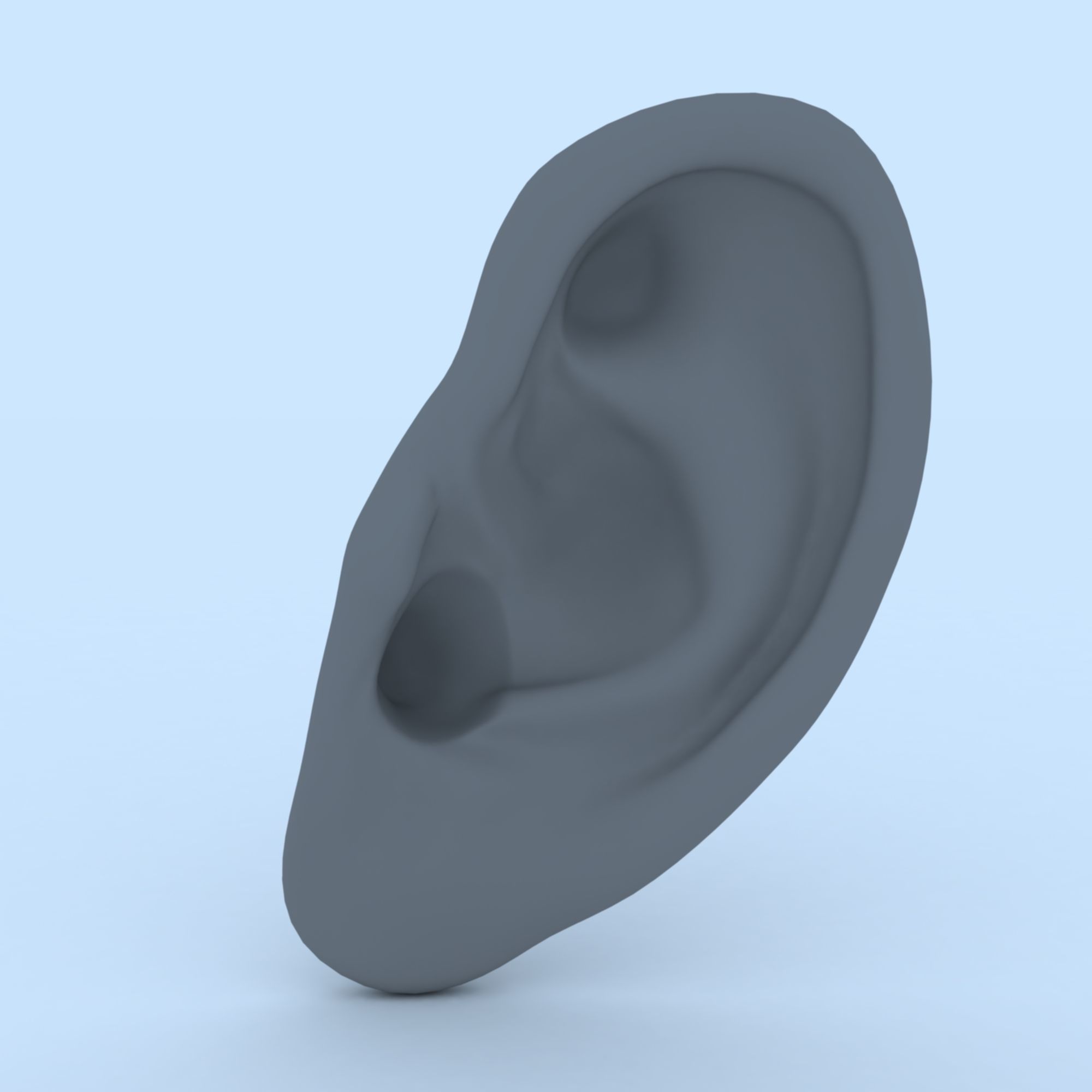 Ear 3D Model Updated Low-poly 3D model_6