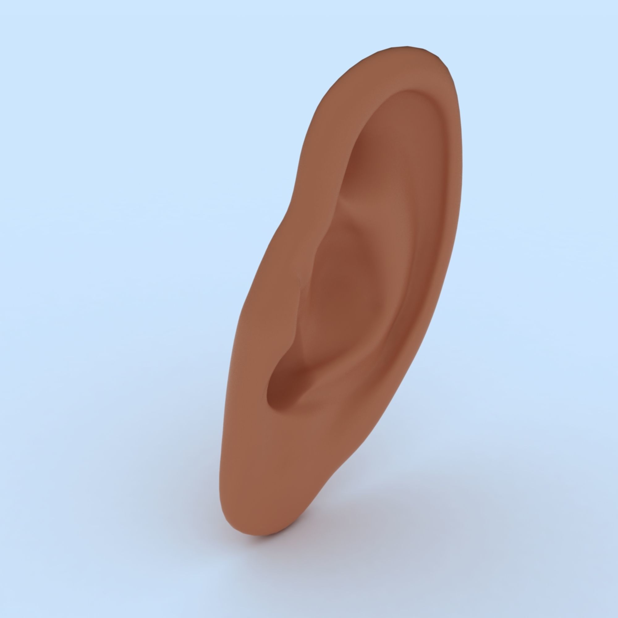 Ear 3D Model Updated Low-poly 3D model_13
