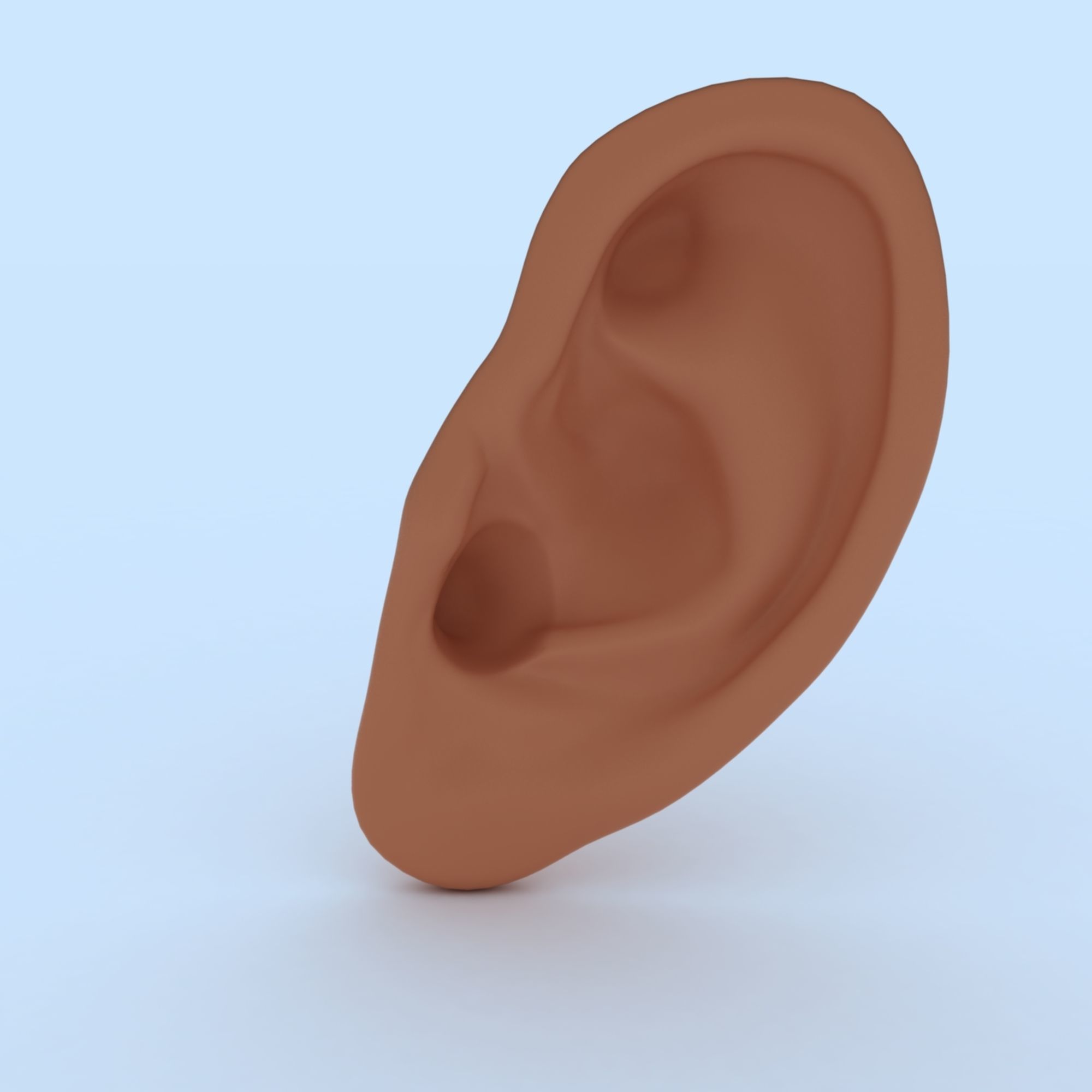 Ear 3D Model Updated Low-poly 3D model_12