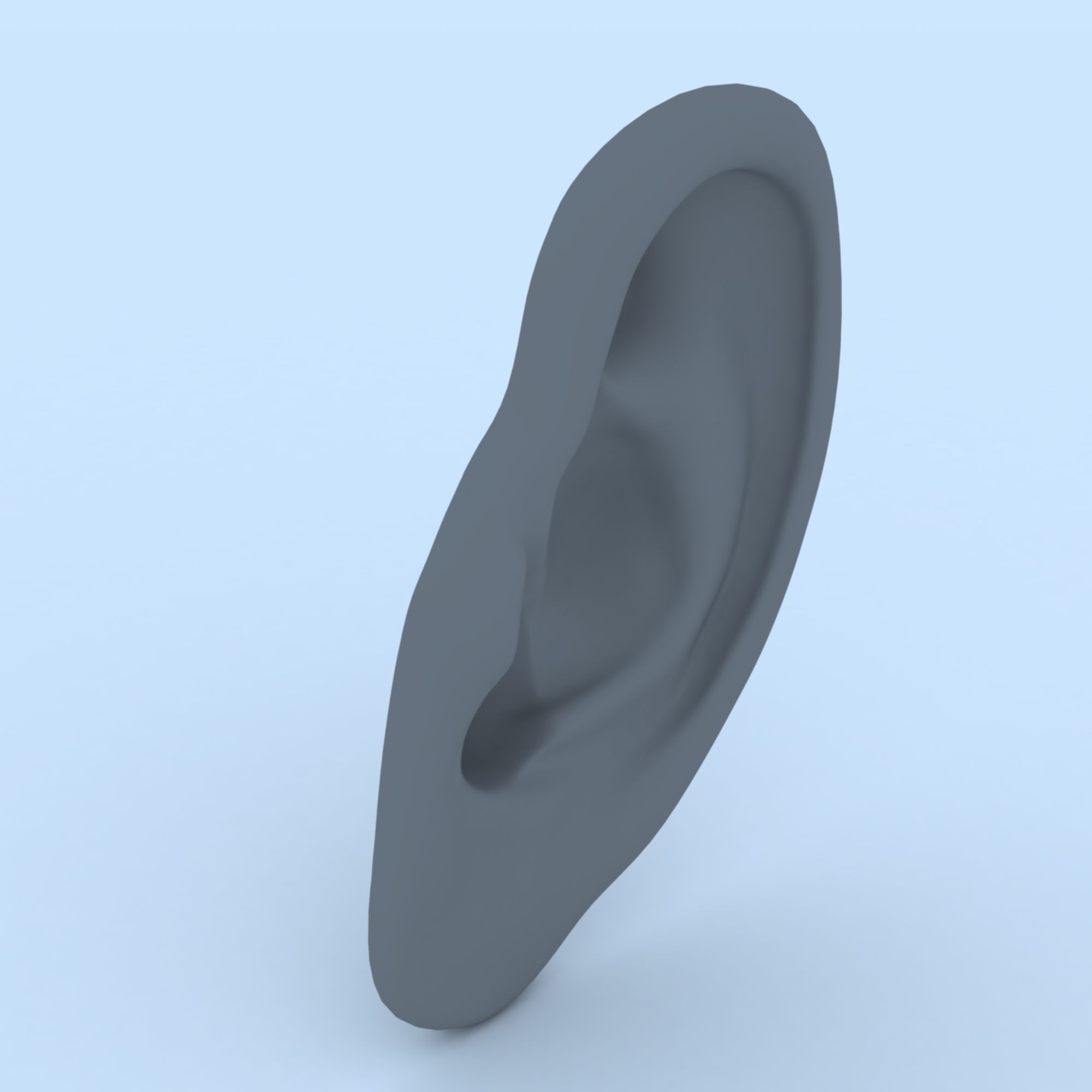 Ear 3D Model Updated Low-poly 3D model_7