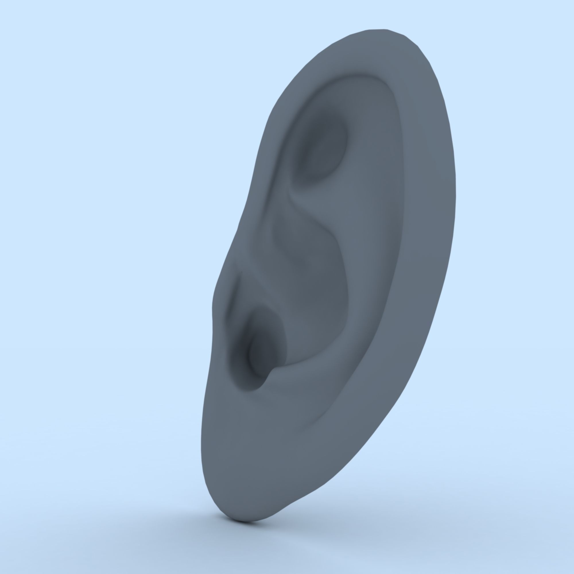 Ear 3D Model Updated Low-poly 3D model_4