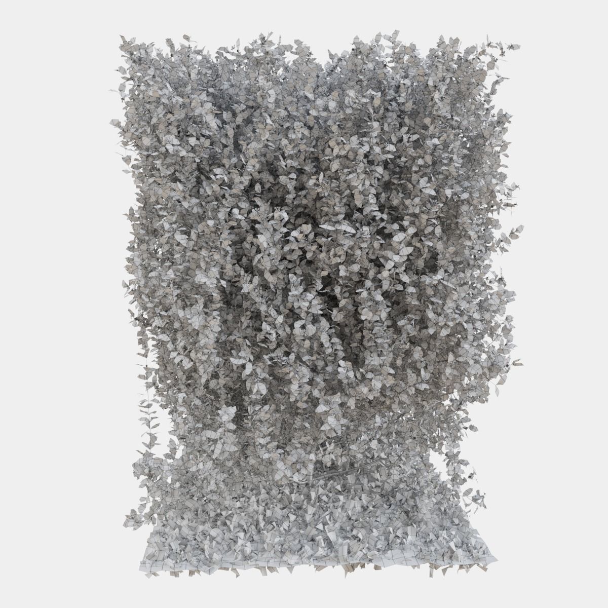 Buxus the long bush in the shape of cube 3D model_14