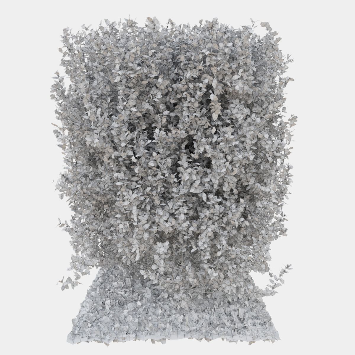 Buxus the long bush in the shape of cube 3D model_15
