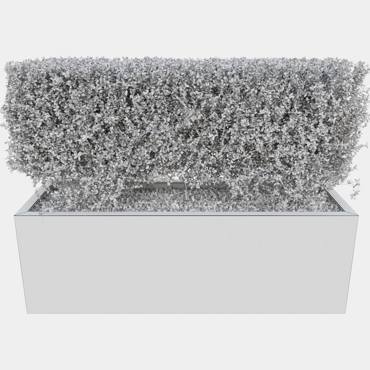 Buxus the long bush in the shape of cube 3D model_18