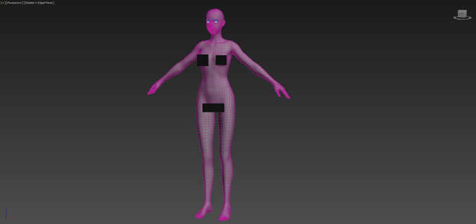 Female woman anatomy Basemesh 3D model