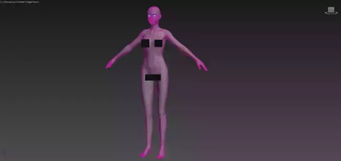 Female woman anatomy Basemesh