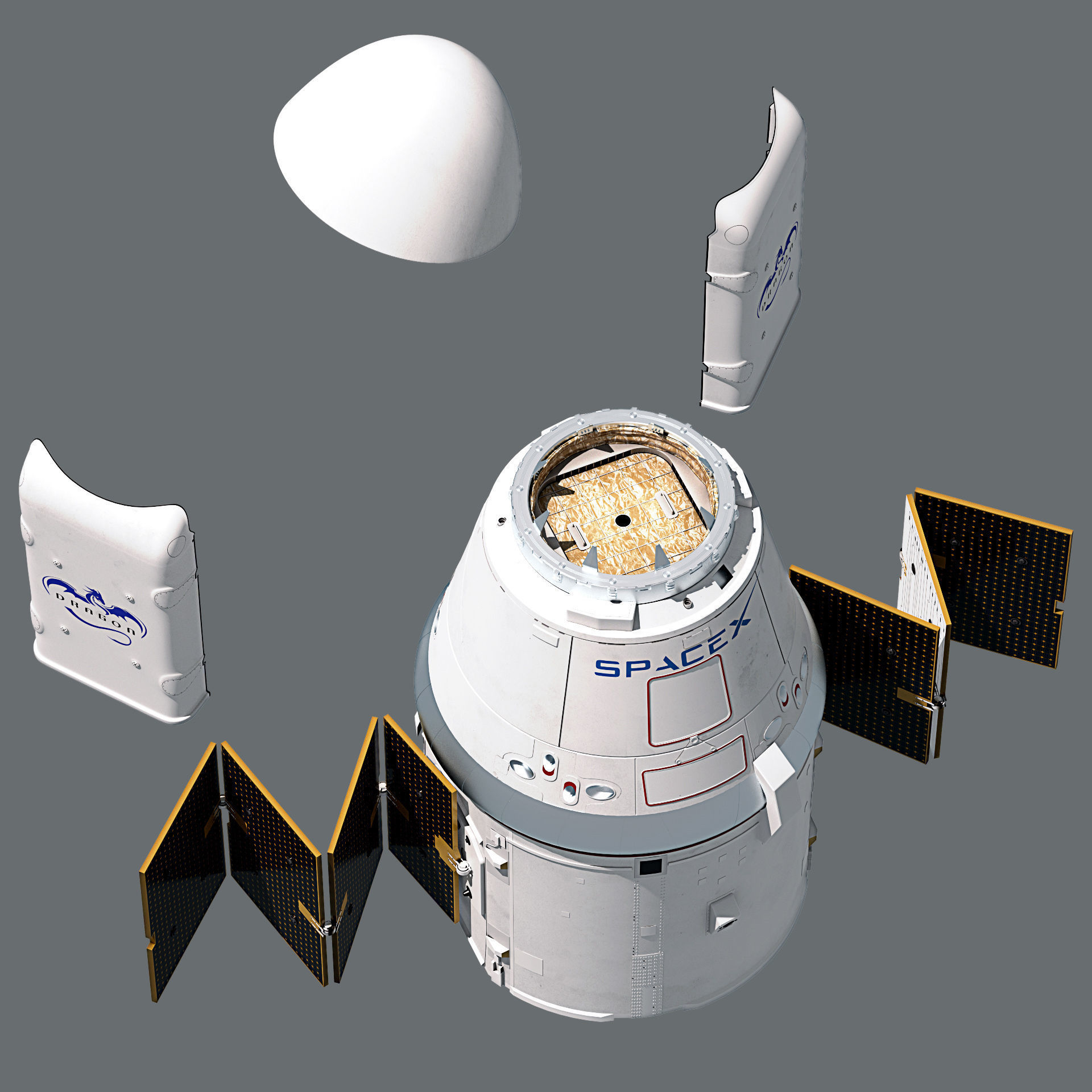 Dragon Capsule SpaceX 3D model_1