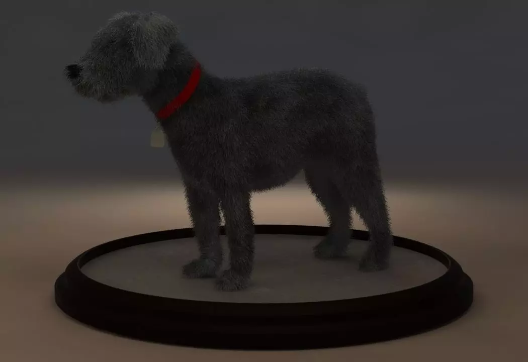 Miniature Schnauzer 3D model
