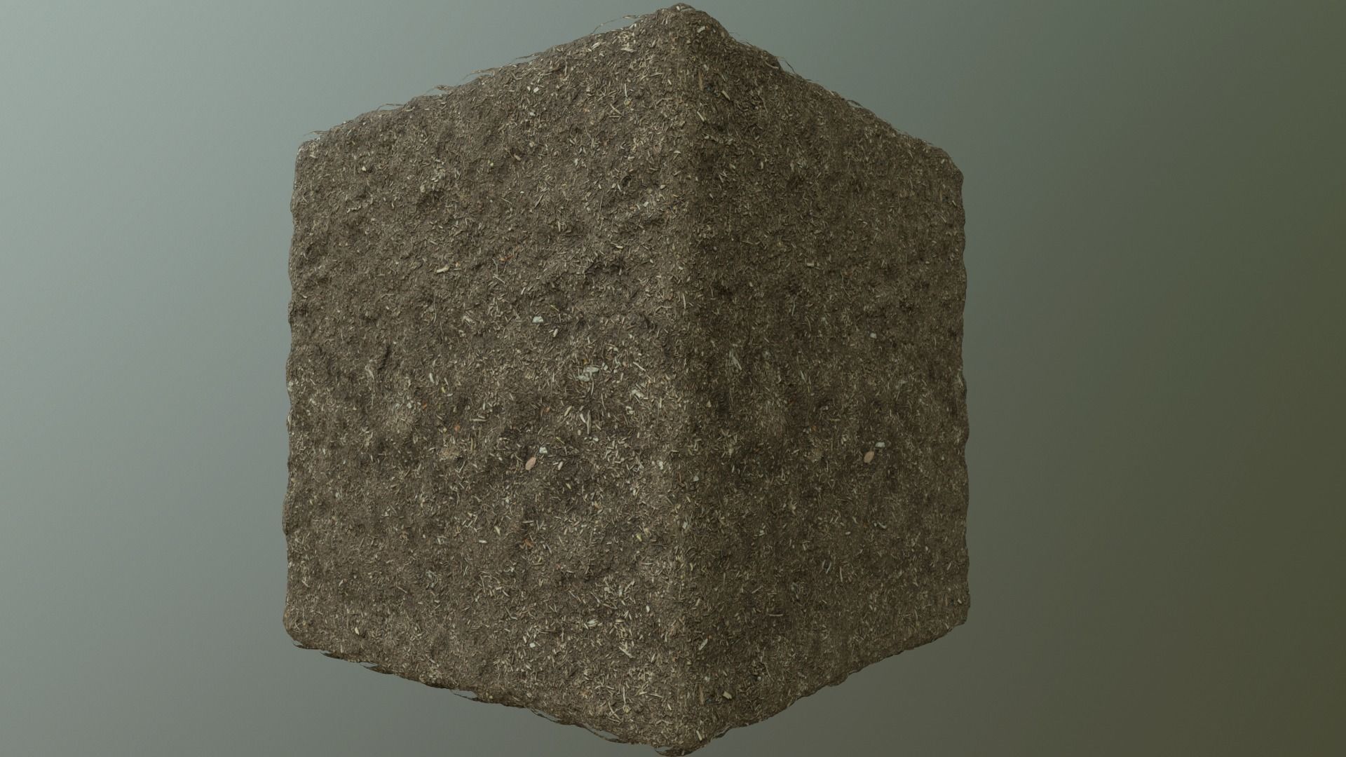 PBR Scanned Brown Mulch Texture_3
