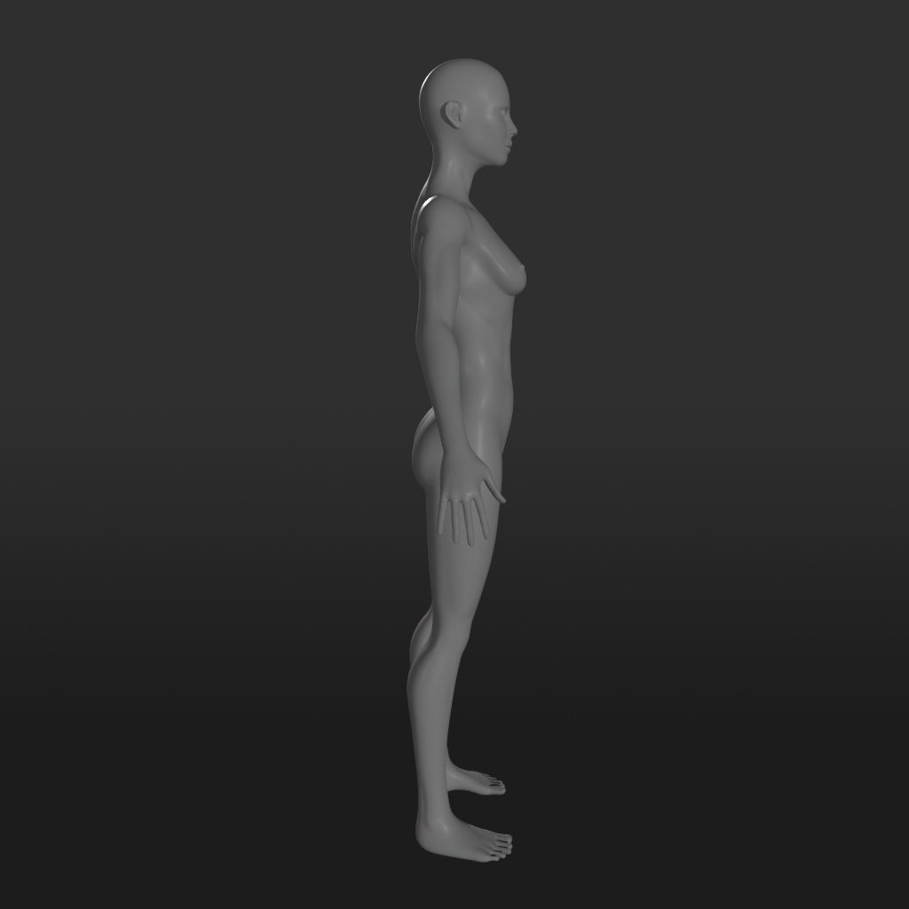 Female Character Base Mesh 3D model_3