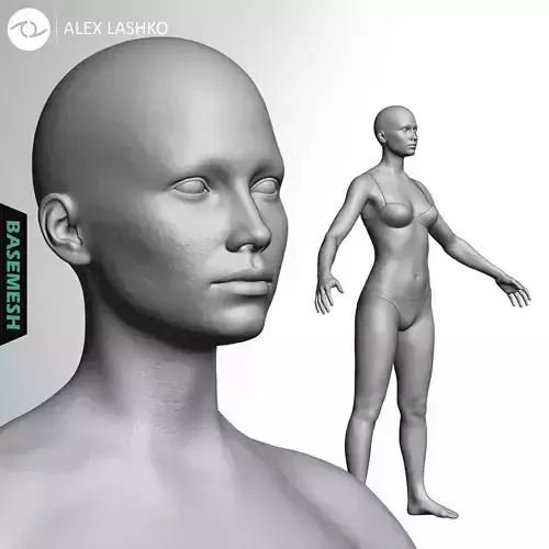 Average Caucasian Female Body Basemesh 3D model