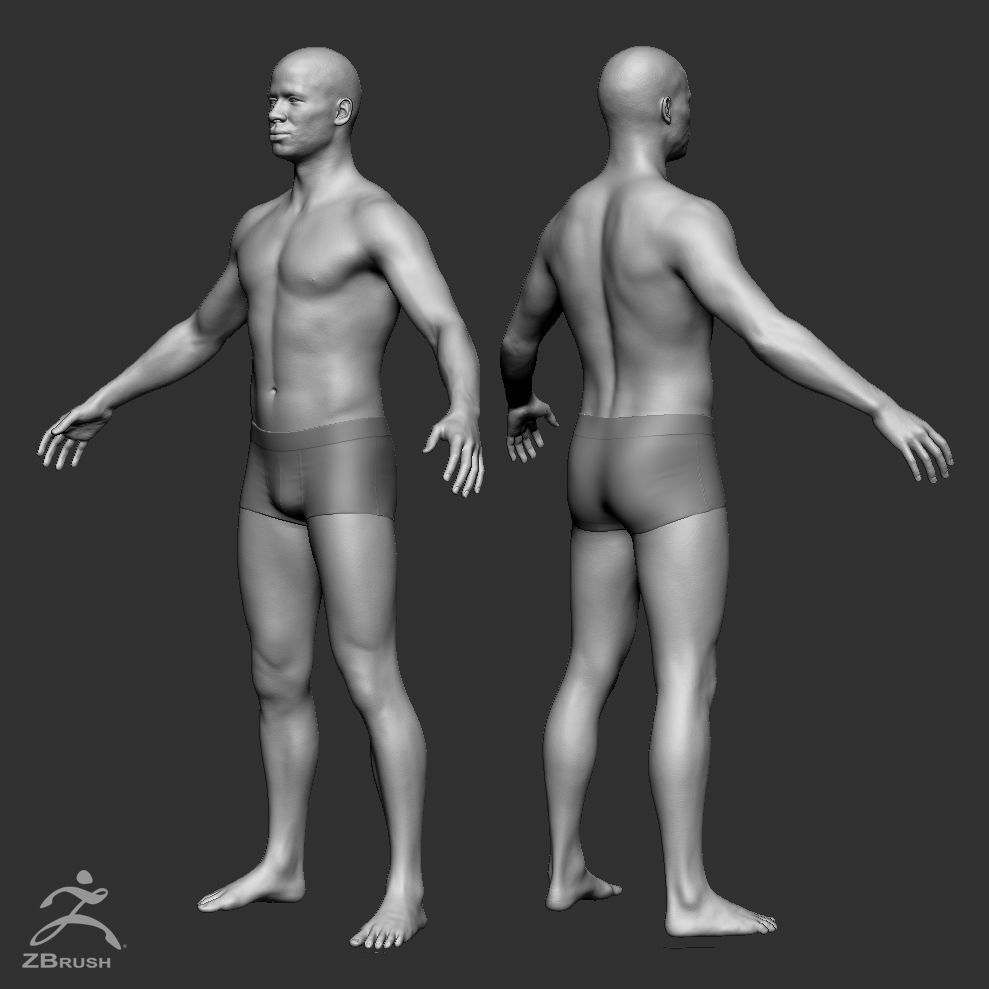 Average Human Body Collection _96