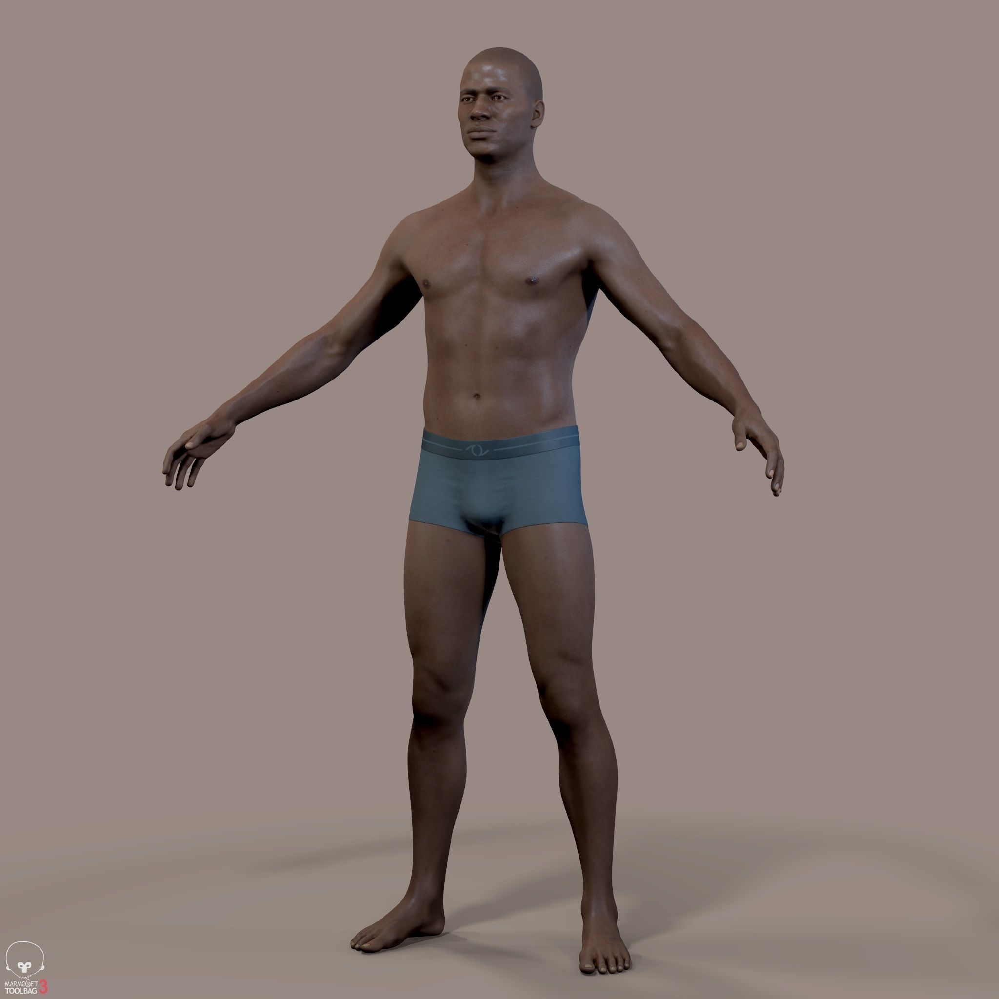 Average Human Body Collection _62