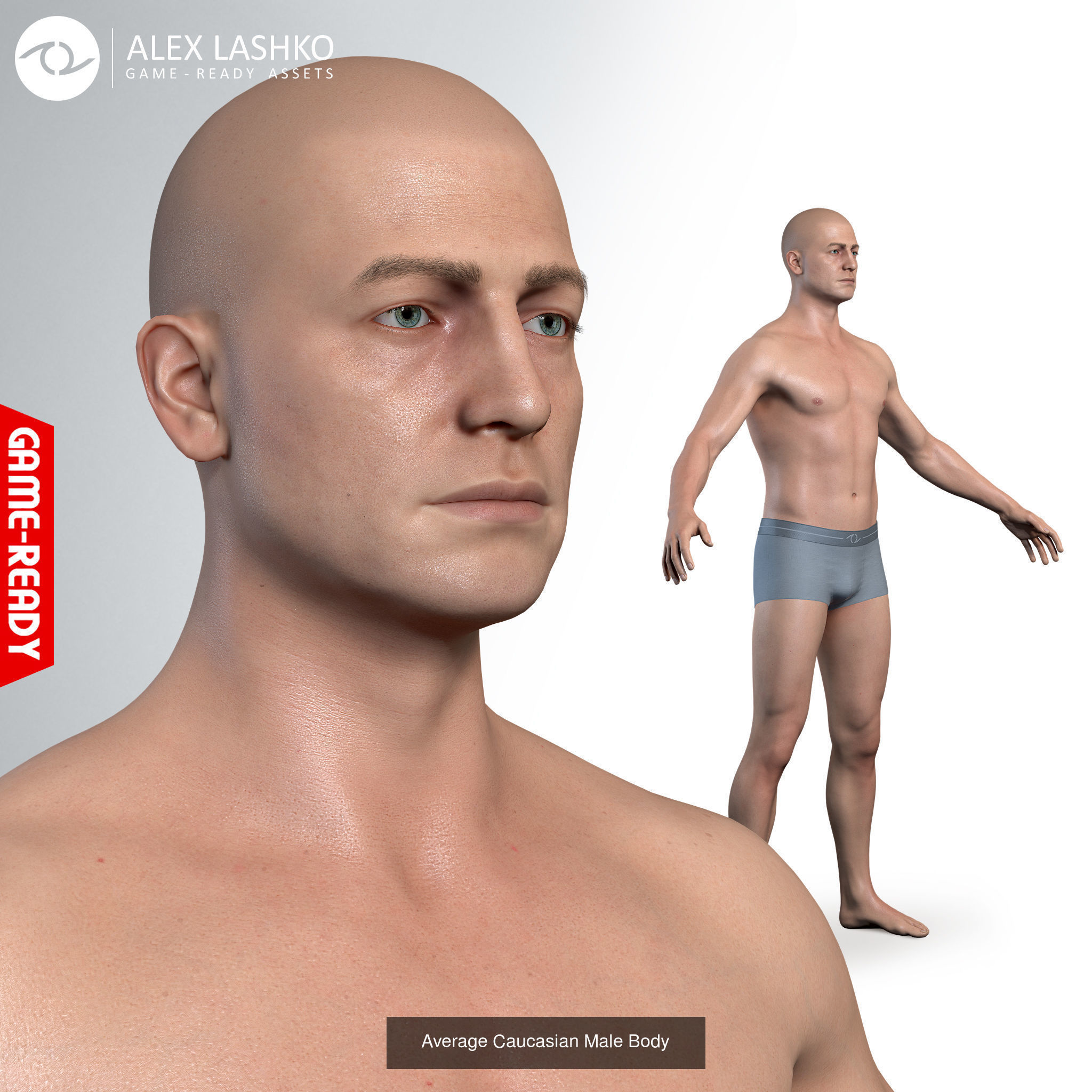 Average Human Body Collection _14