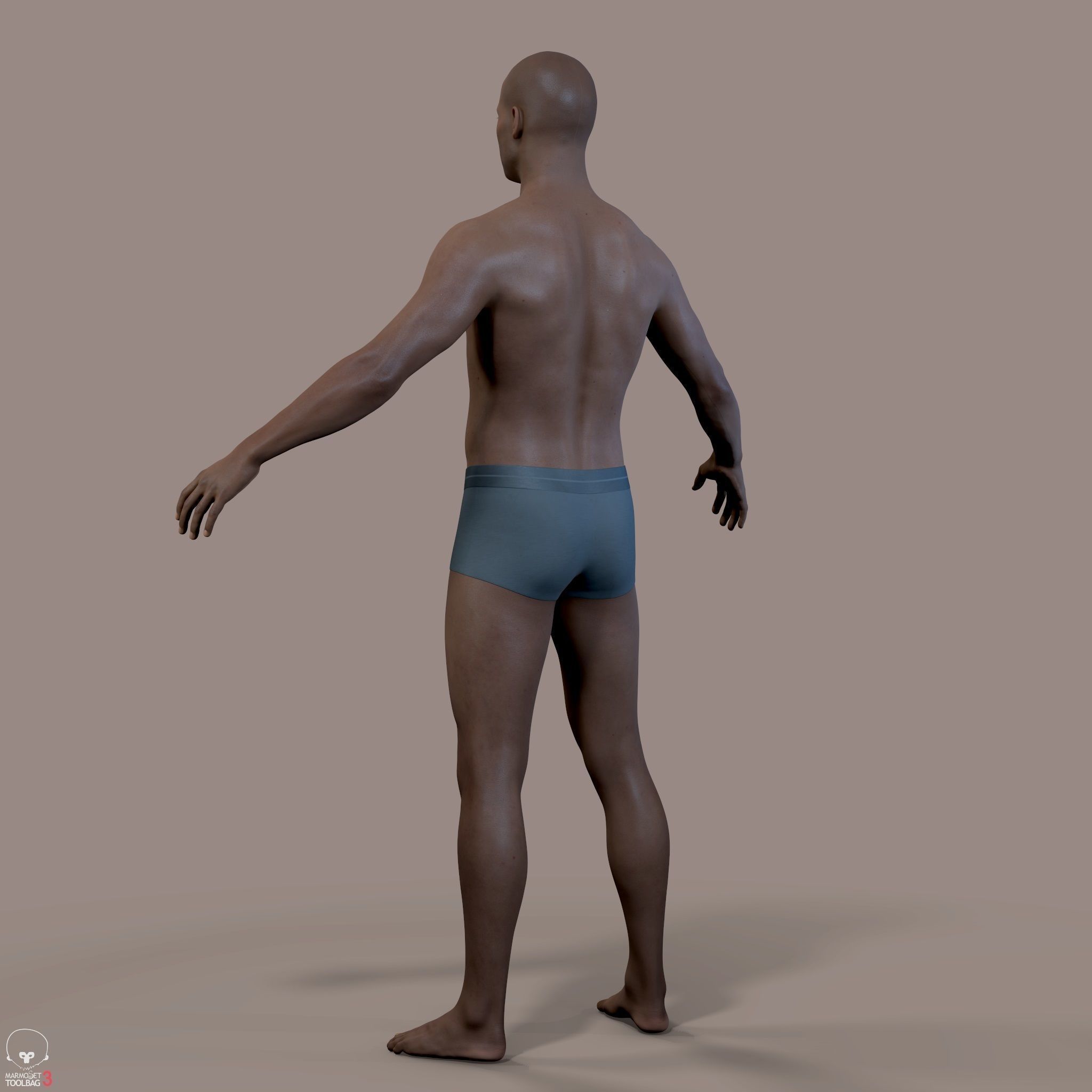 Average Human Body Collection _70