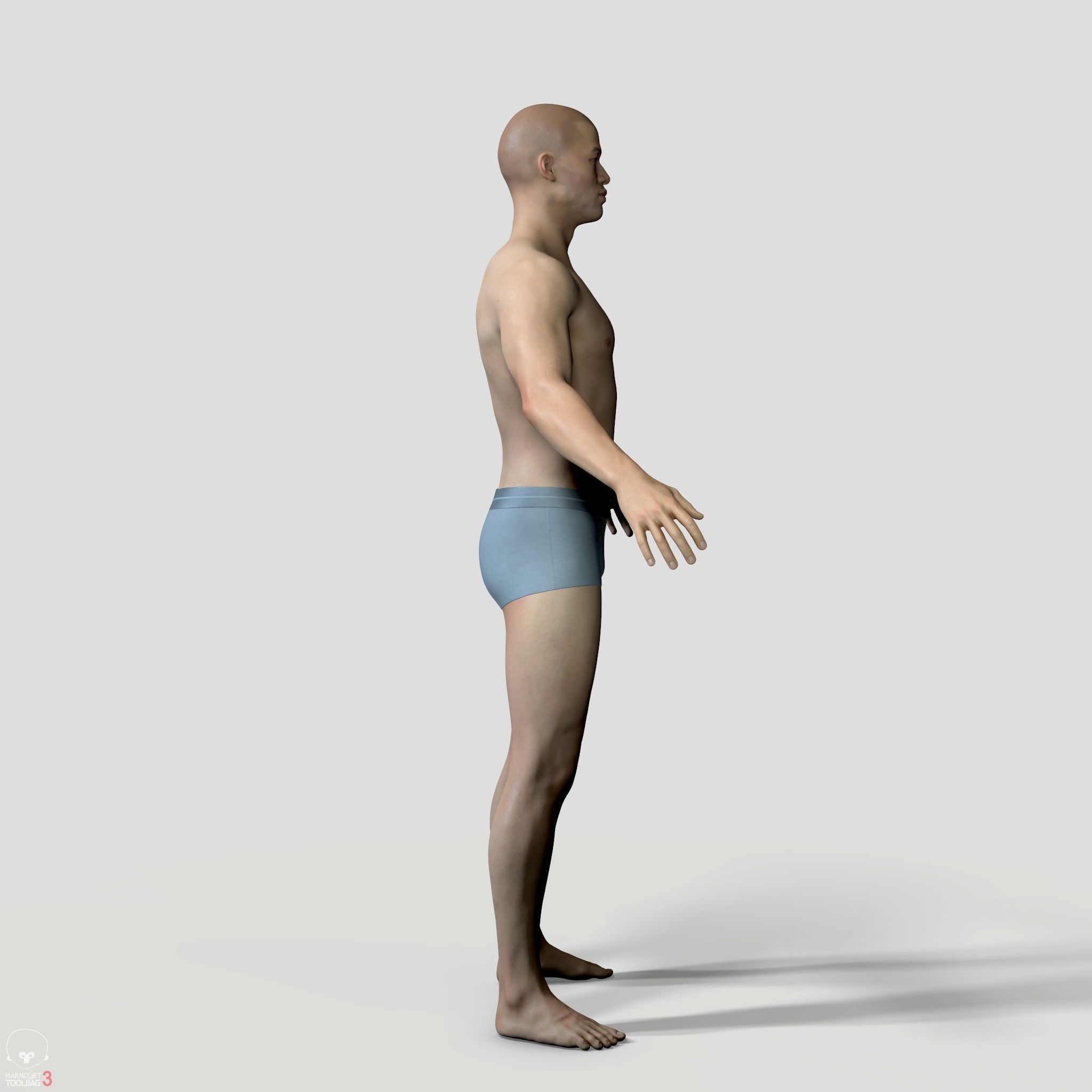 Average Human Body Collection _53