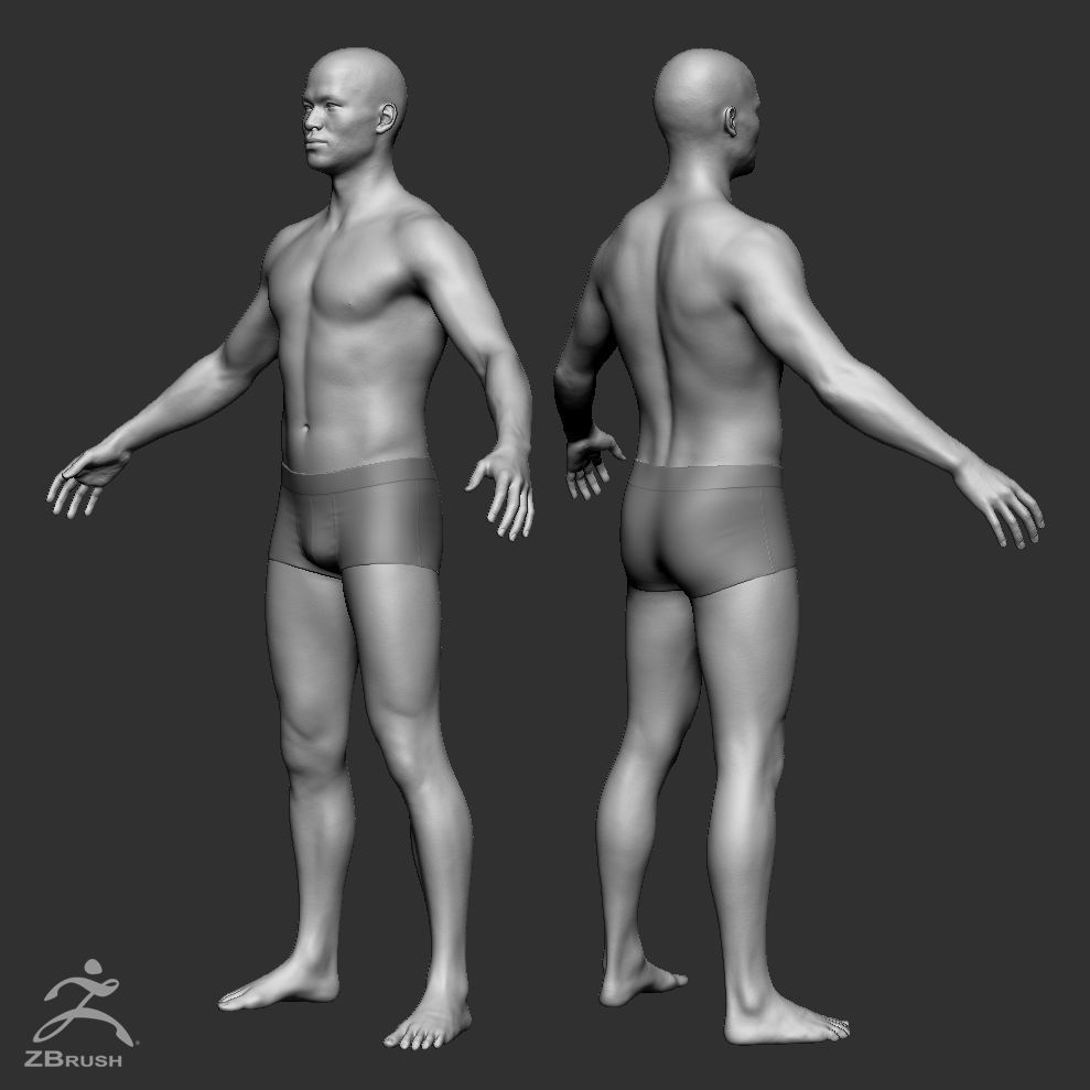 Average Human Body Collection _95