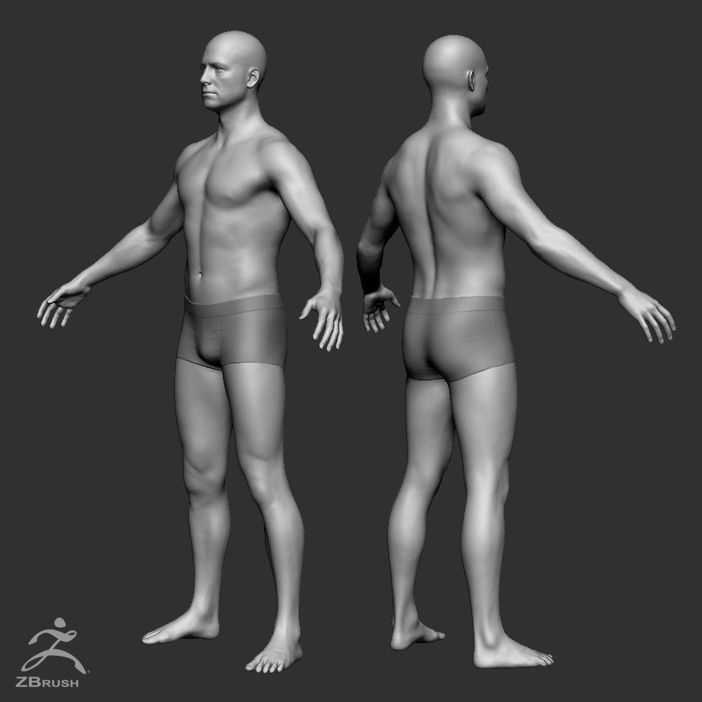 Average Human Body Collection _97