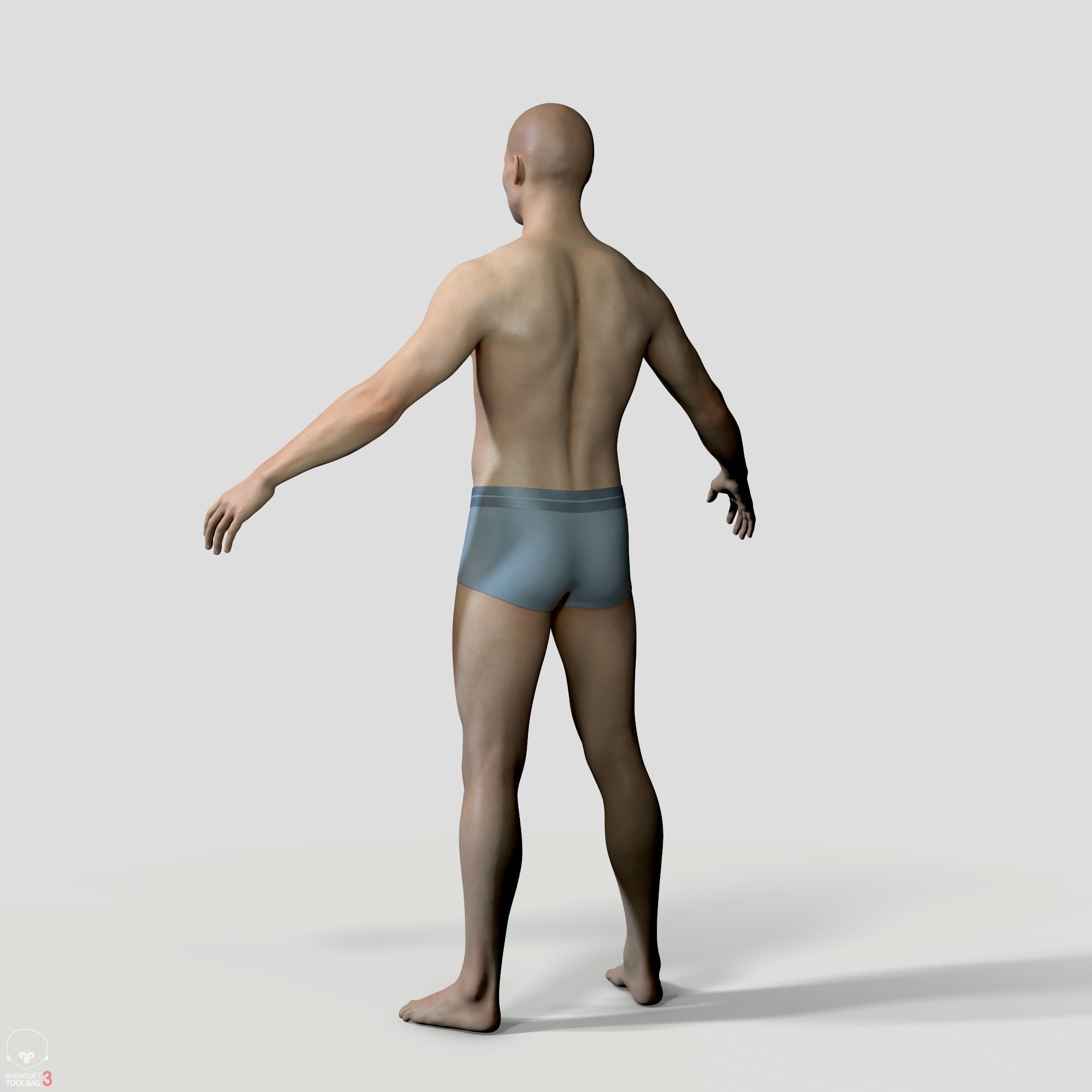 Average Human Body Collection _57