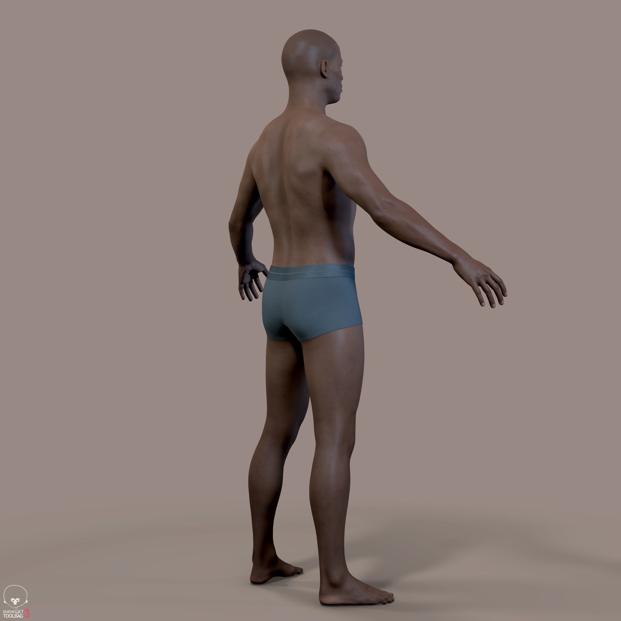 Average Human Body Collection _67