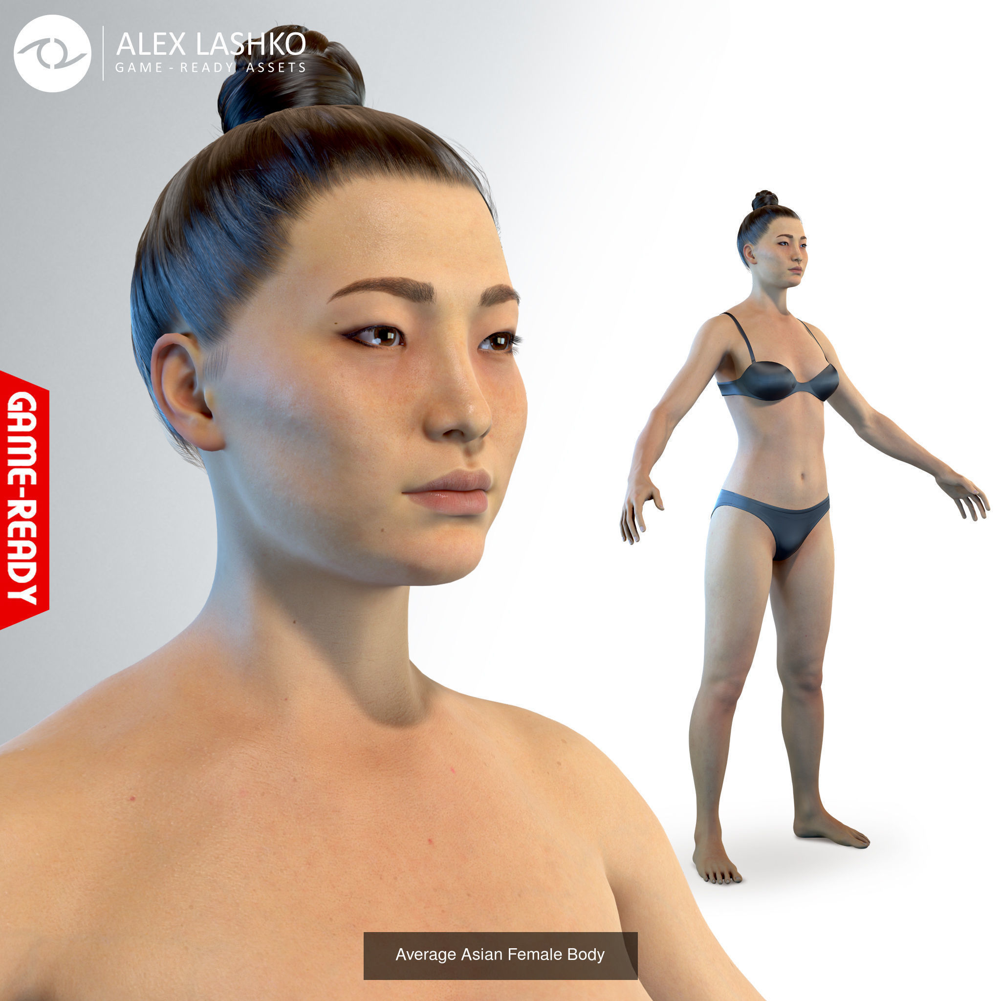 Average Human Body Collection _12