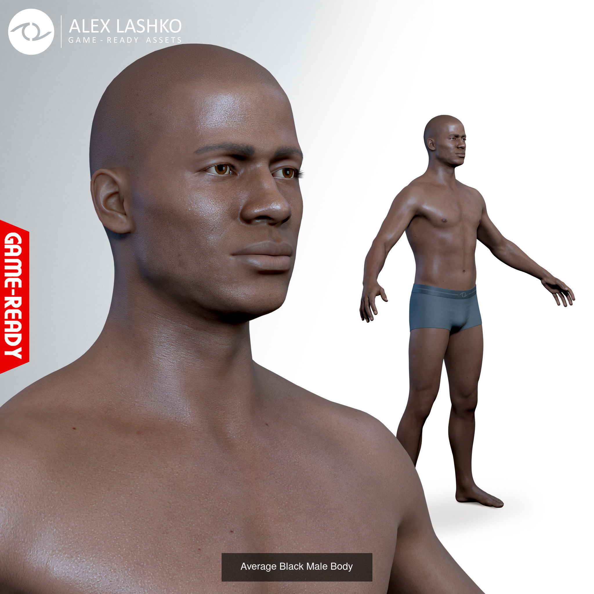 Average Human Body Collection _10
